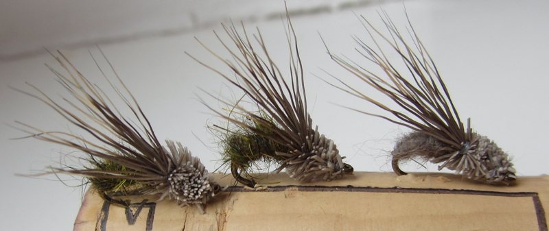 Ethel, the streaking caddis