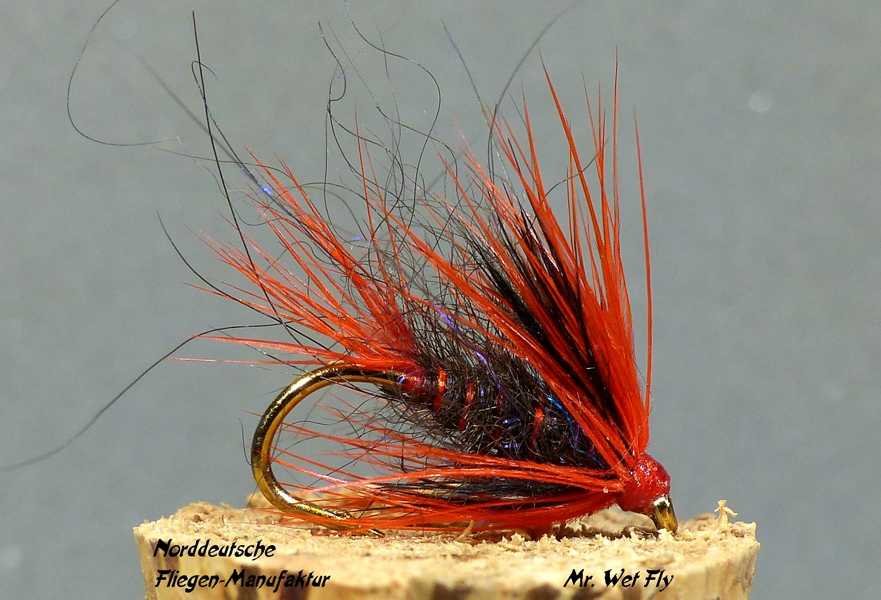 Wet Fly Variationen 0541.JPG