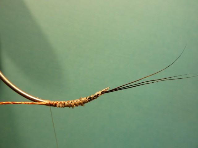 P1170829~2.jpg