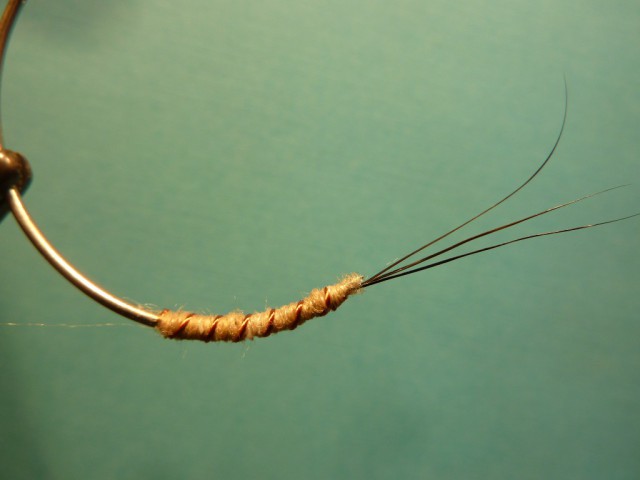 P1170830~2.jpg