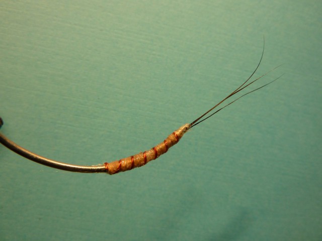 P1170831~2.jpg