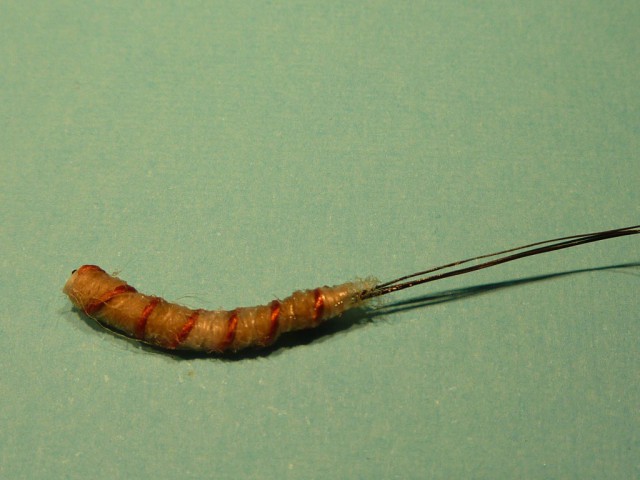 P1170833~2.jpg