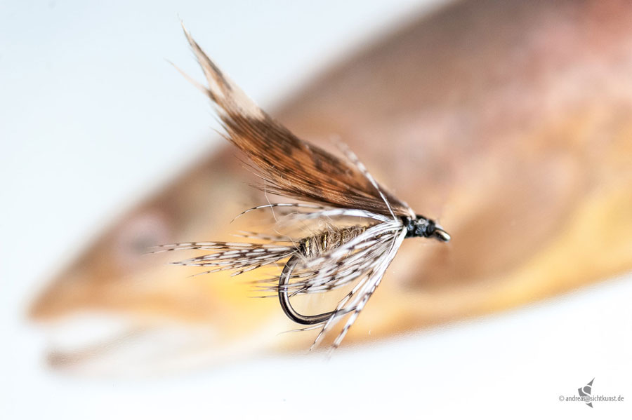 March Brown