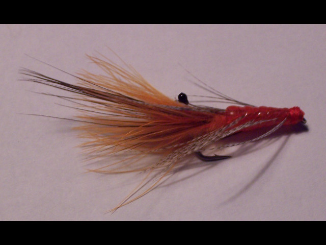shrimp-klein.jpg