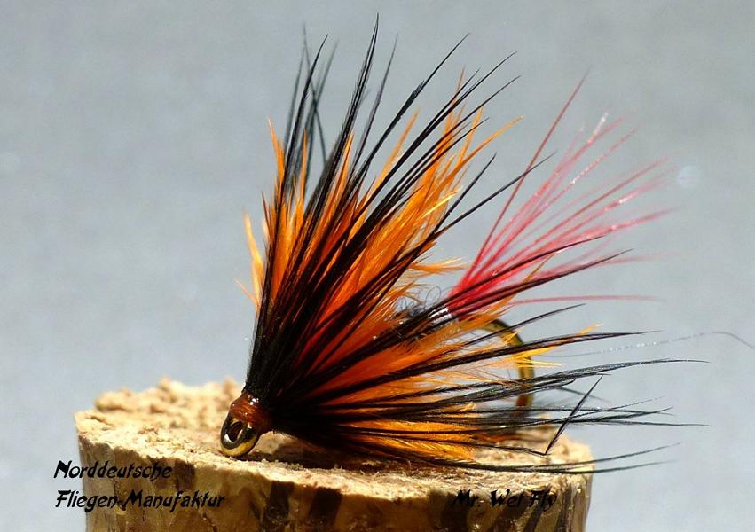 Wet Fly Variationen 0581.JPG