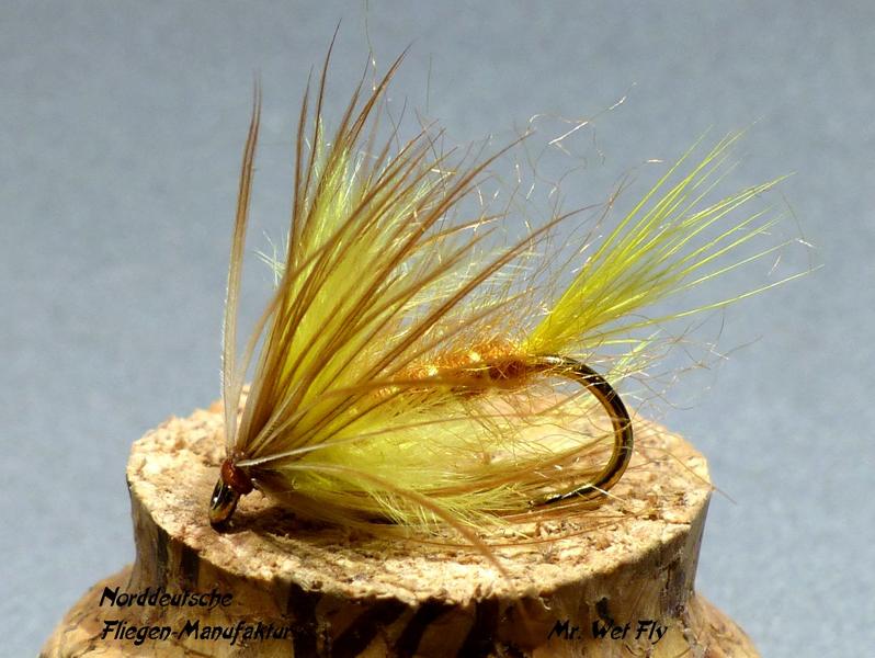Wet Fly Variationen 0591.JPG