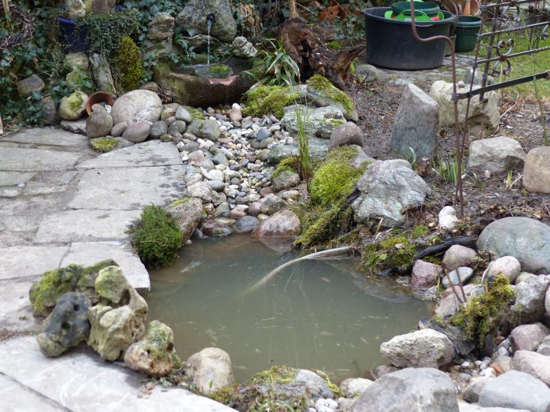 Garten 13.03.2017 004.JPG