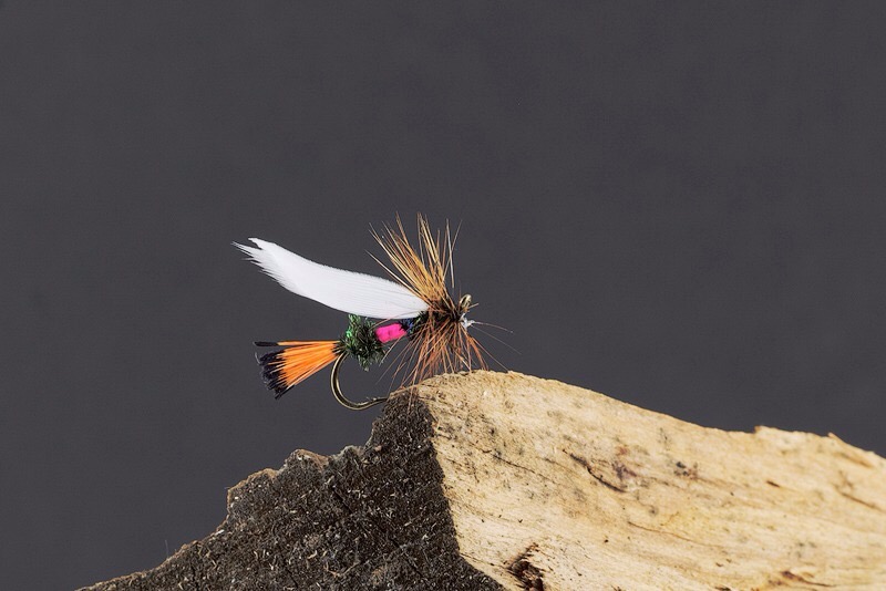 Royal Coachman Gans.JPG