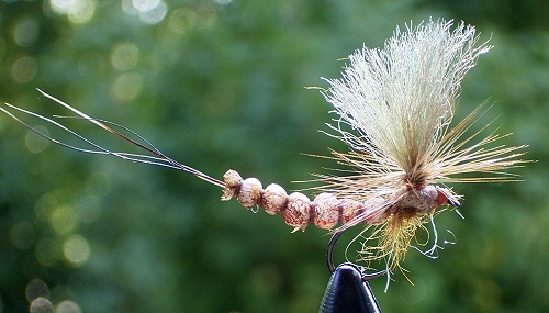eine Para Maifliege