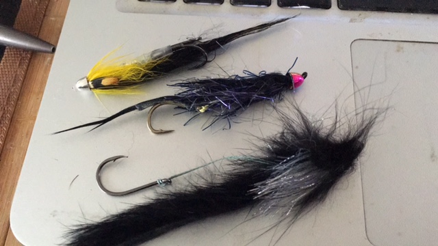 argentinische Seatrout Fliegen