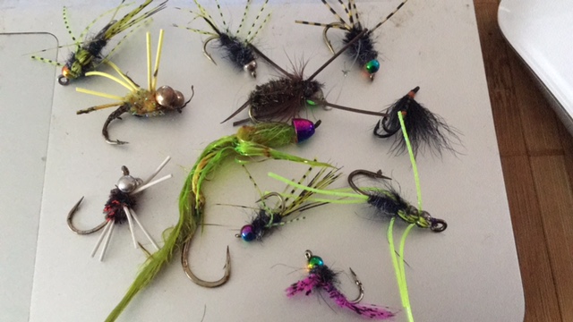 argentinische Seatrout Fliegen