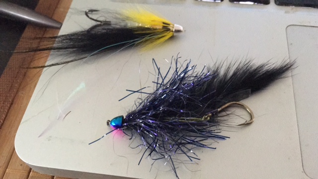 argentinische Seatrout Fliegen