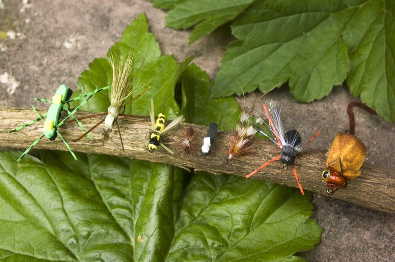 DSC_8283 [1280x768].jpg