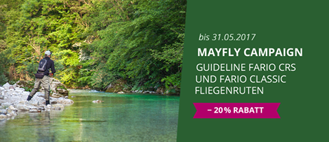 MAYFLY Aktion 2017.png