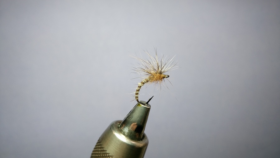 Paraloop/Quill