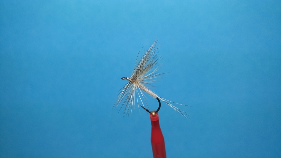 Sparse Quill Dry