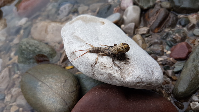 20170531_105049 Kopie.jpg