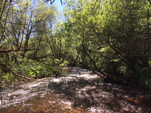hier ist fast niedrigste Gangart angesagt, um im Fluss weiter zu kommen