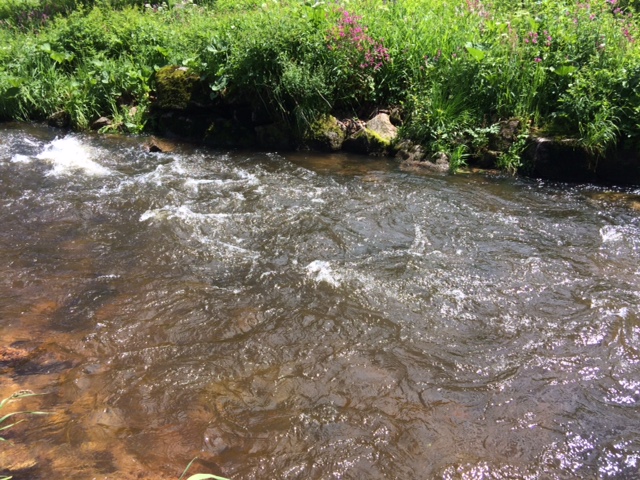 Kleine 'Pocketwater' (sagt man so?) sind für Überraschungen gut!!