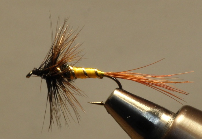 poacher semi dry.jpg