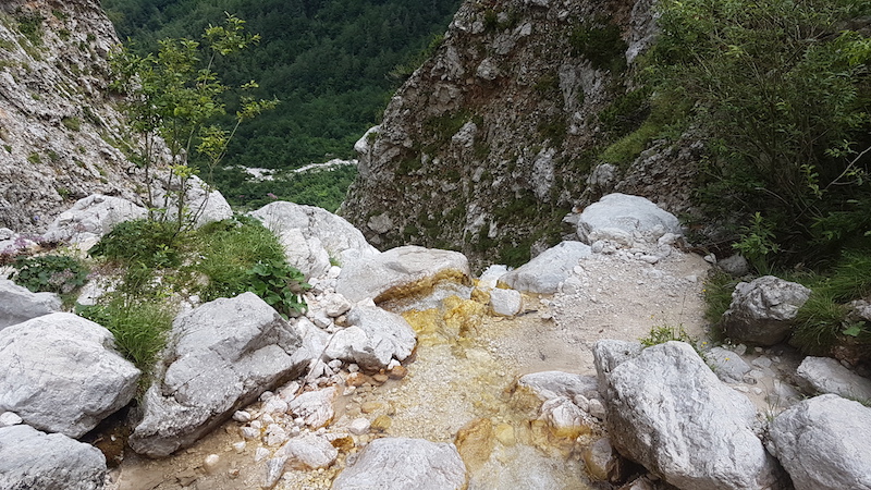 sehr junge Savinja.jpg