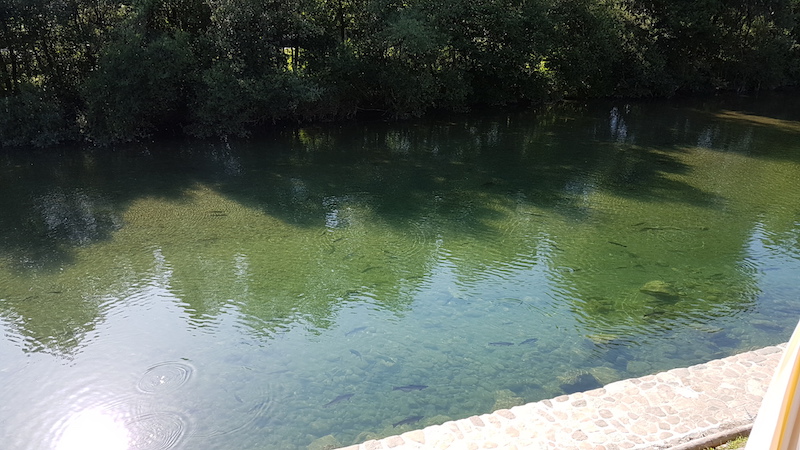 Krokettenforellen Revier 3.jpg