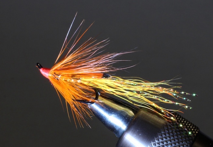Orange and GOld Sundown.jpg