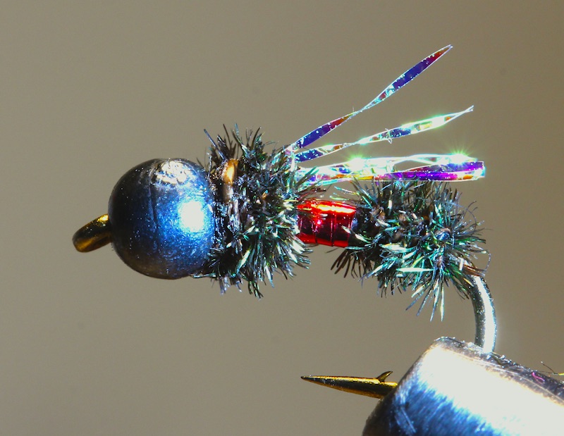 Royal Lighting Bug.jpg