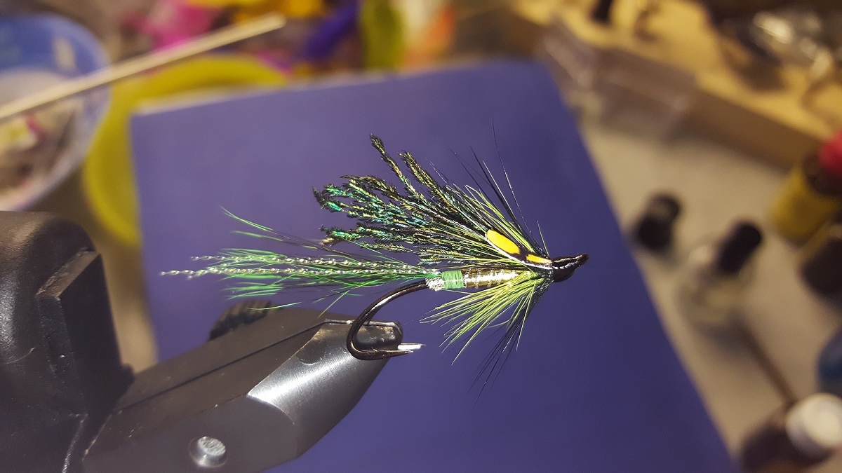 20170914_181843 1.jpg