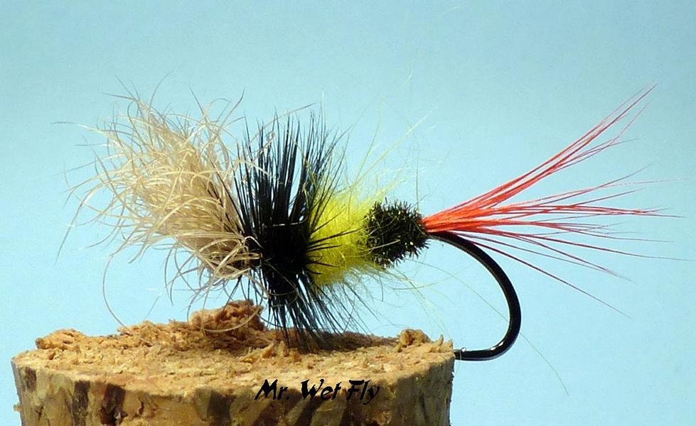 Favoriten für Döbel 0261.JPG