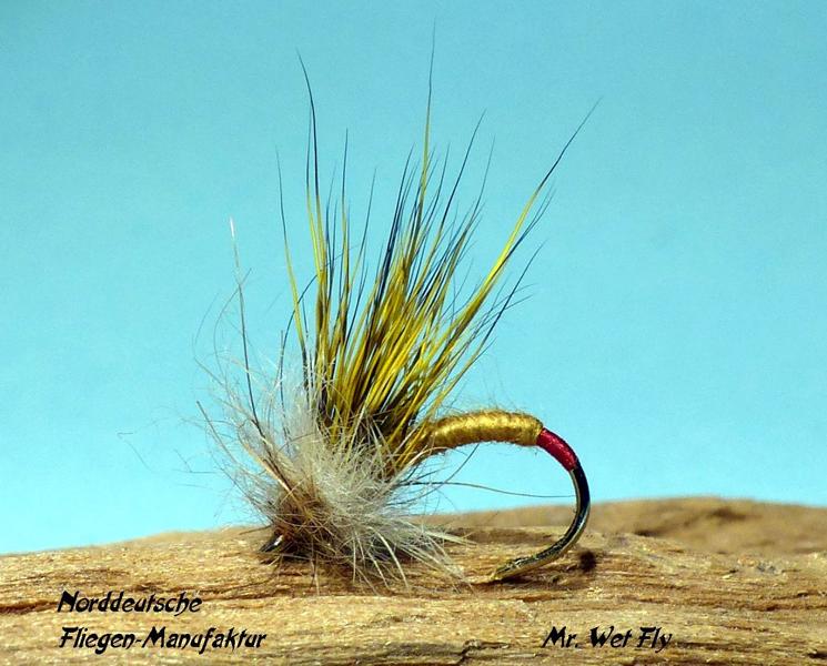 Favoriten für Döbel 0351.JPG