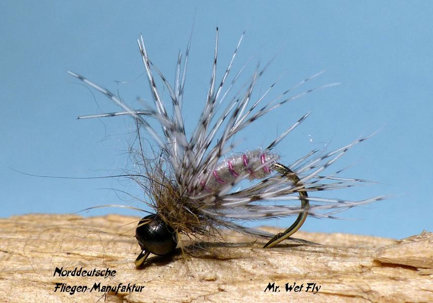 Favoriten für Döbel 0361.JPG