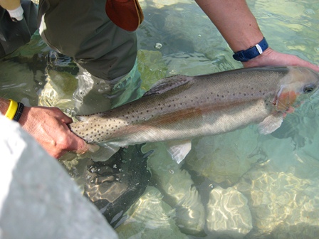 IMG_3810_400x300.jpg