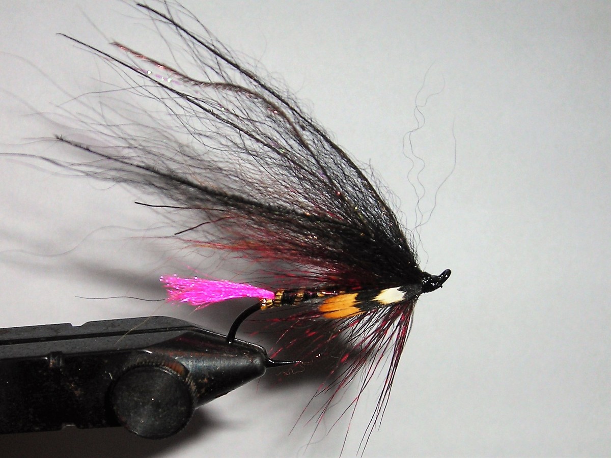 Black brown n Peacock.jpg