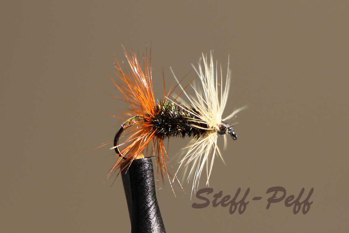 IMG_0212 Renegade Gr 14.jpg