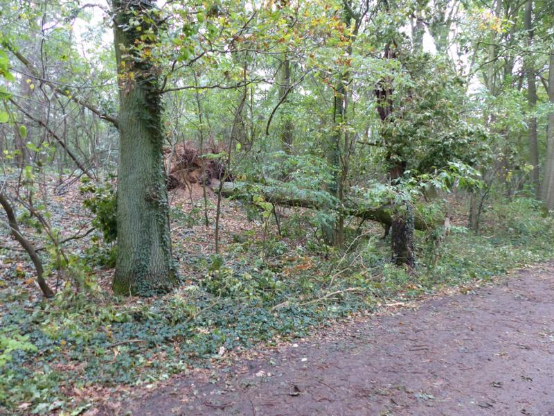 Sturm 05.10.2017 027.JPG