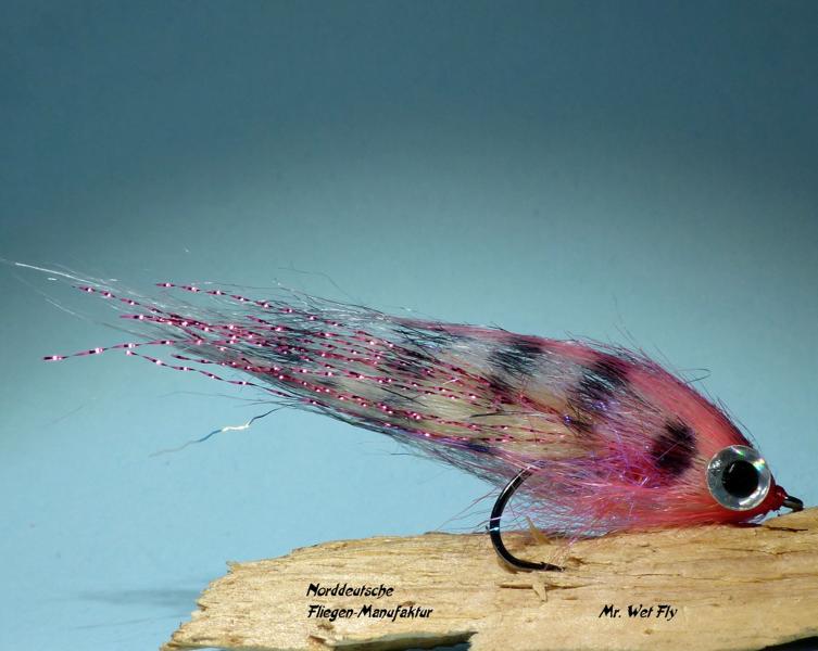Minnow Variationen 0101.JPG