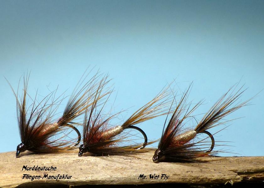 Wet Fly Variationen 0681.JPG