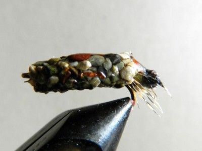 Cased Caddis.JPG (54.39 KiB) 5539 mal betrachtet Cased Caddis mit echtem Gehäuse