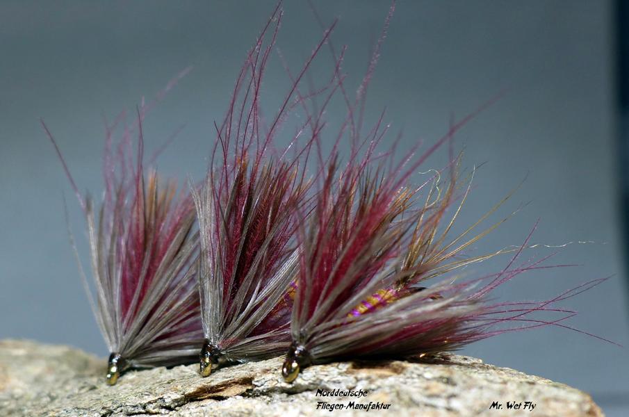 CDC Variationen 0151.JPG