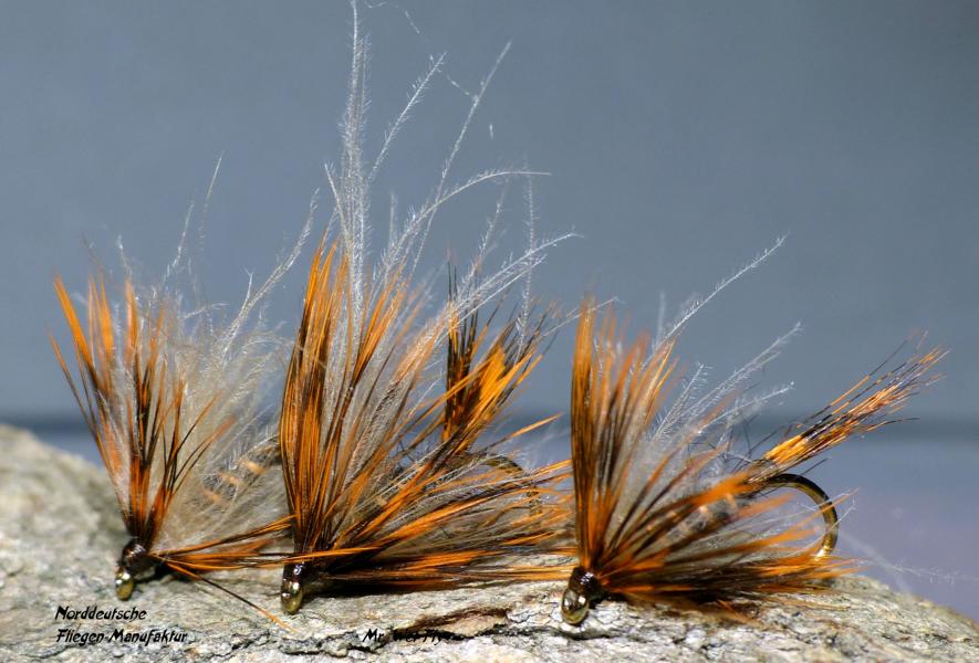 CDC Variationen 0171.JPG