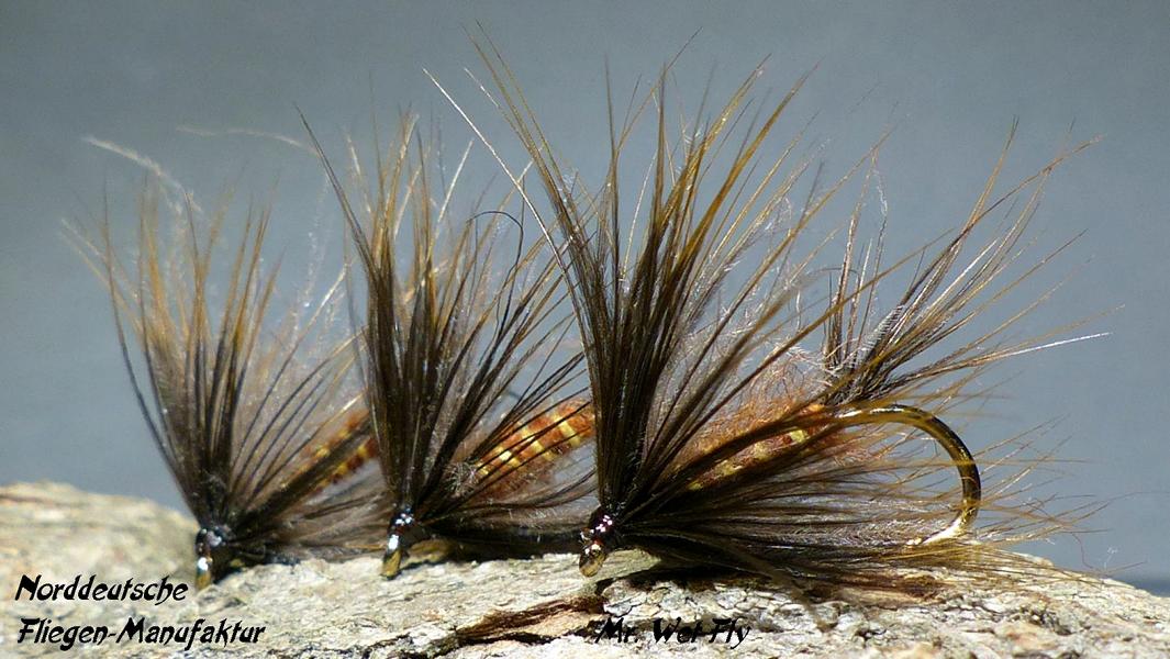 CDC Variationen 0191.JPG