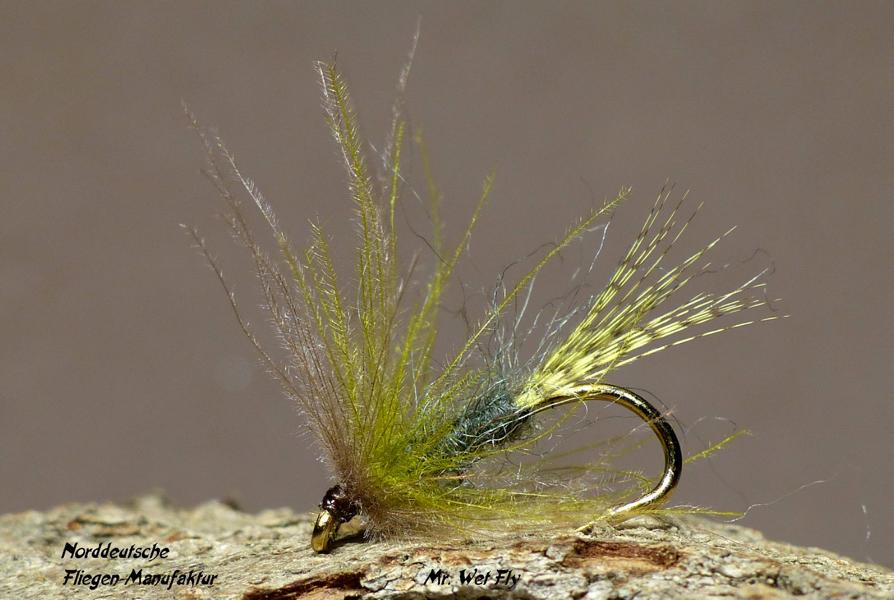 CDC Variationen 0201.JPG