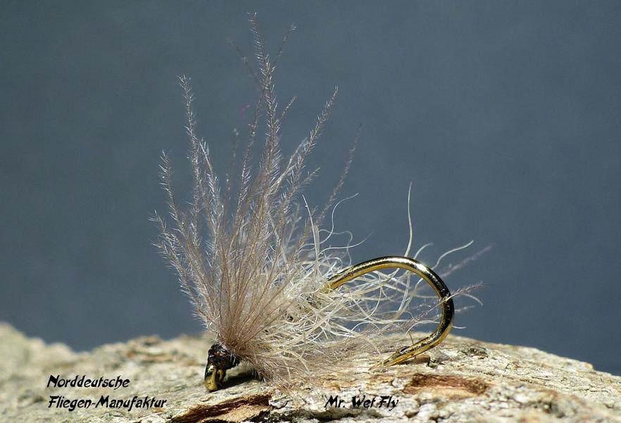 CDC Variationen 0251.JPG