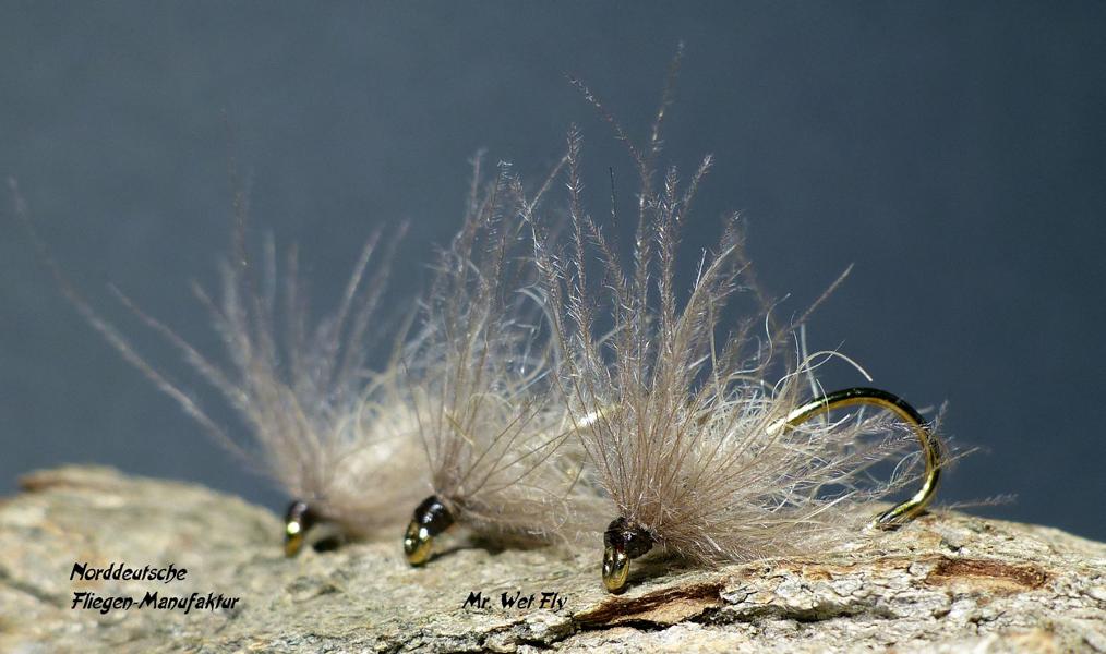 CDC Variationen 0261.JPG