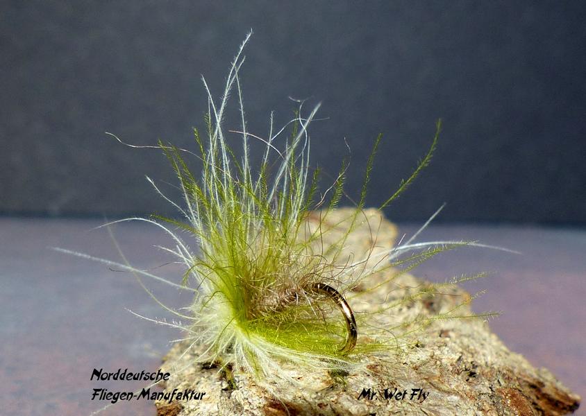 CDC Variationen 0281.JPG