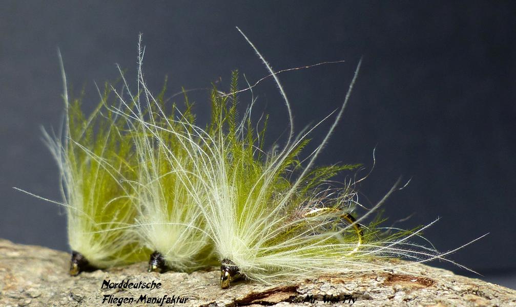 CDC Variationen 0291.JPG
