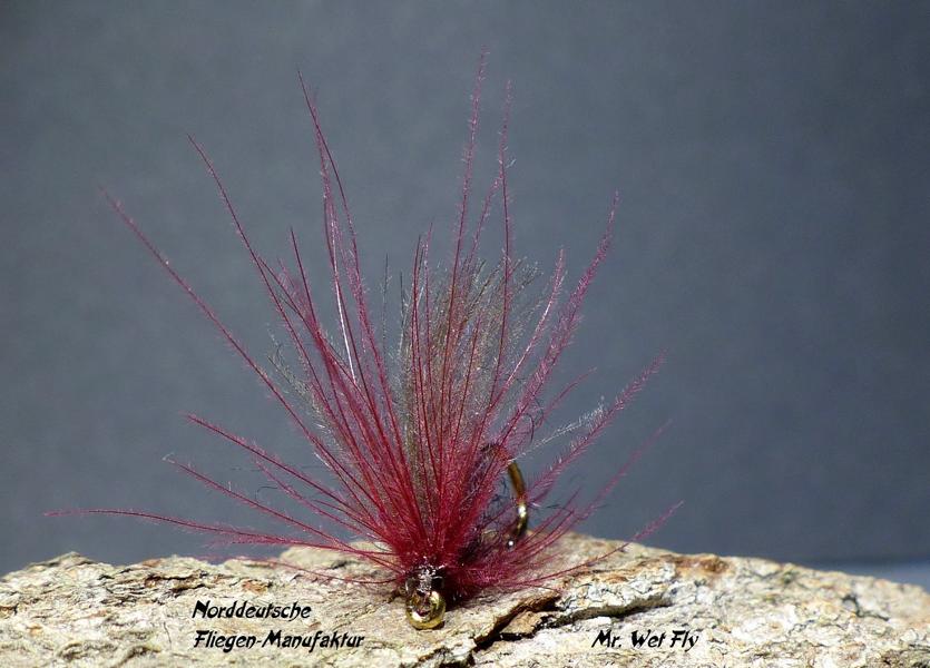 CDC Variationen 0301.JPG
