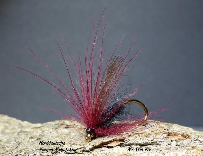 CDC Variationen 0311.JPG