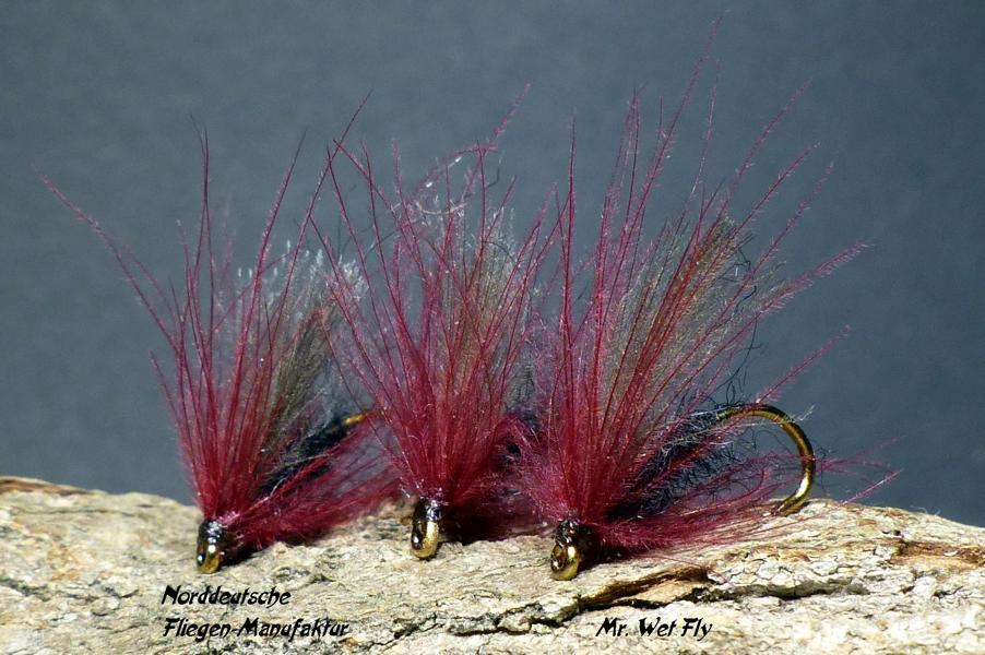 CDC Variationen 0321.JPG